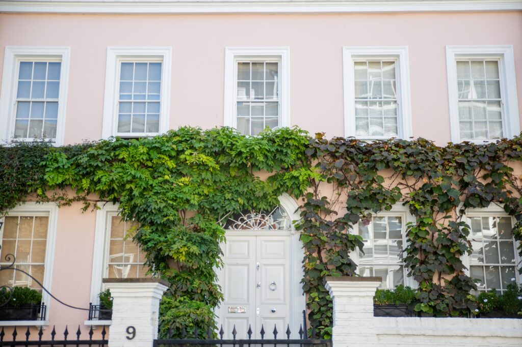 In front of a big British house with climbing plants.