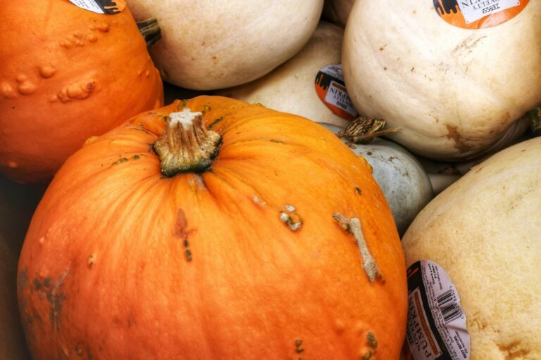 Cropped image of different pumpkins in the concept of local shops and markets in Coulsdon.